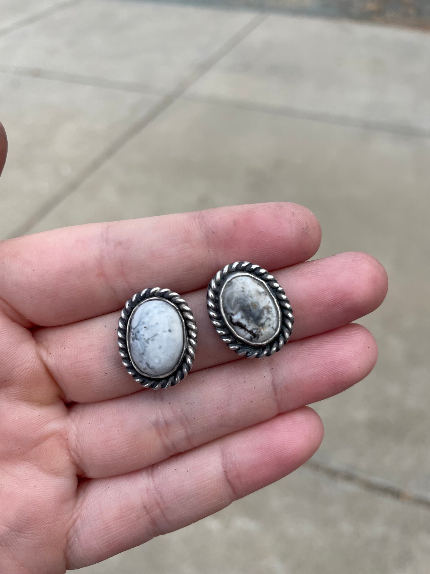 White Buffalo Studs